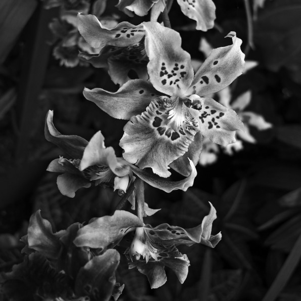 p1010349