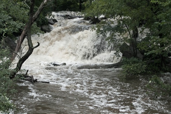 Sheldrake River